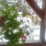 Проживання в сім'ї Parkowa *
