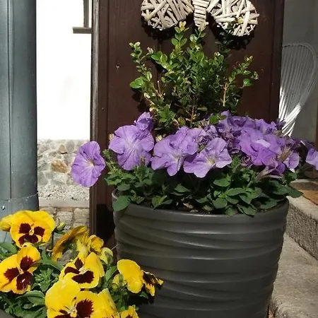 Parkowa Homestay szállás Szklarska Poręba