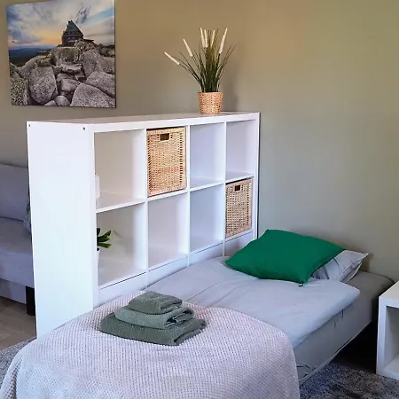 홈스테이 Parkowa 스클라르스카포렘바