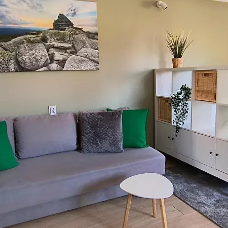 홈스테이 Parkowa