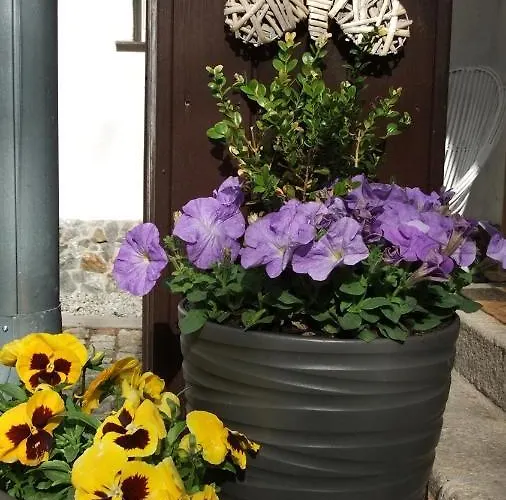 Parkowa Privatunterkunft Schreiberhau