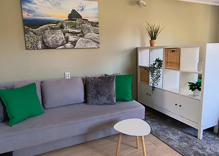 홈스테이 Parkowa