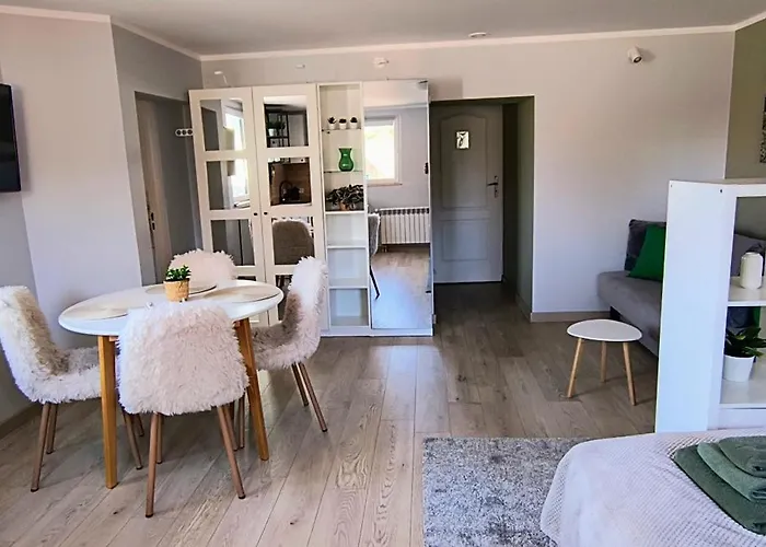 홈스테이 Parkowa 스클라르스카포렘바