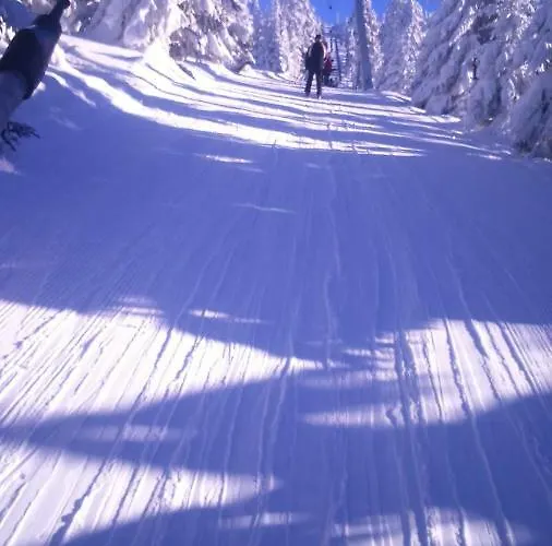 Parkowa 홈스테이