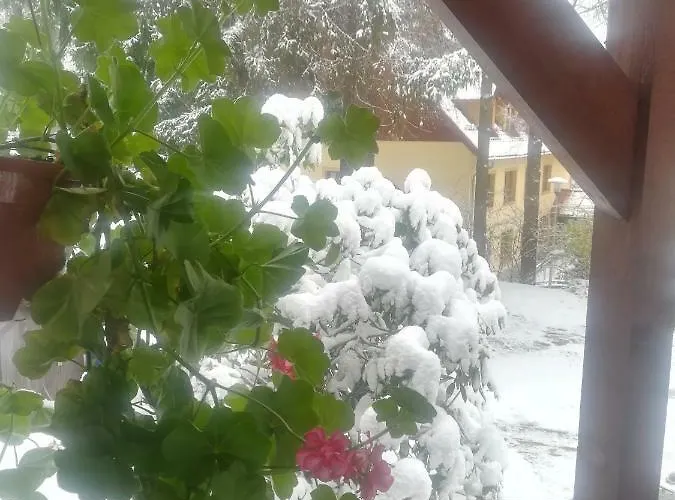 Privatunterkunft Parkowa *